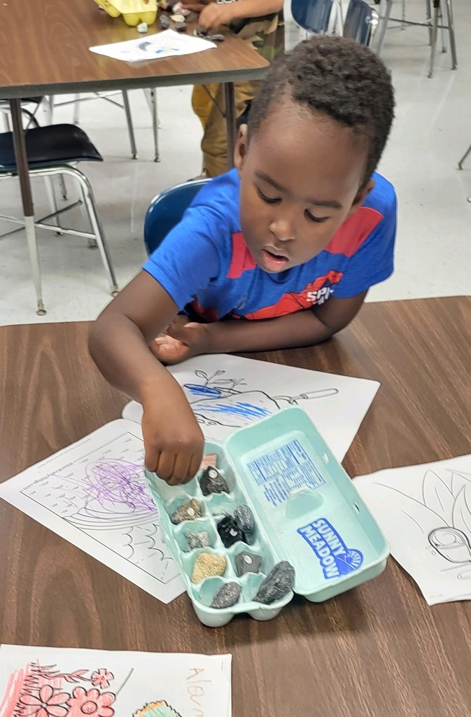 Live Feed Cowan Road Elementary School