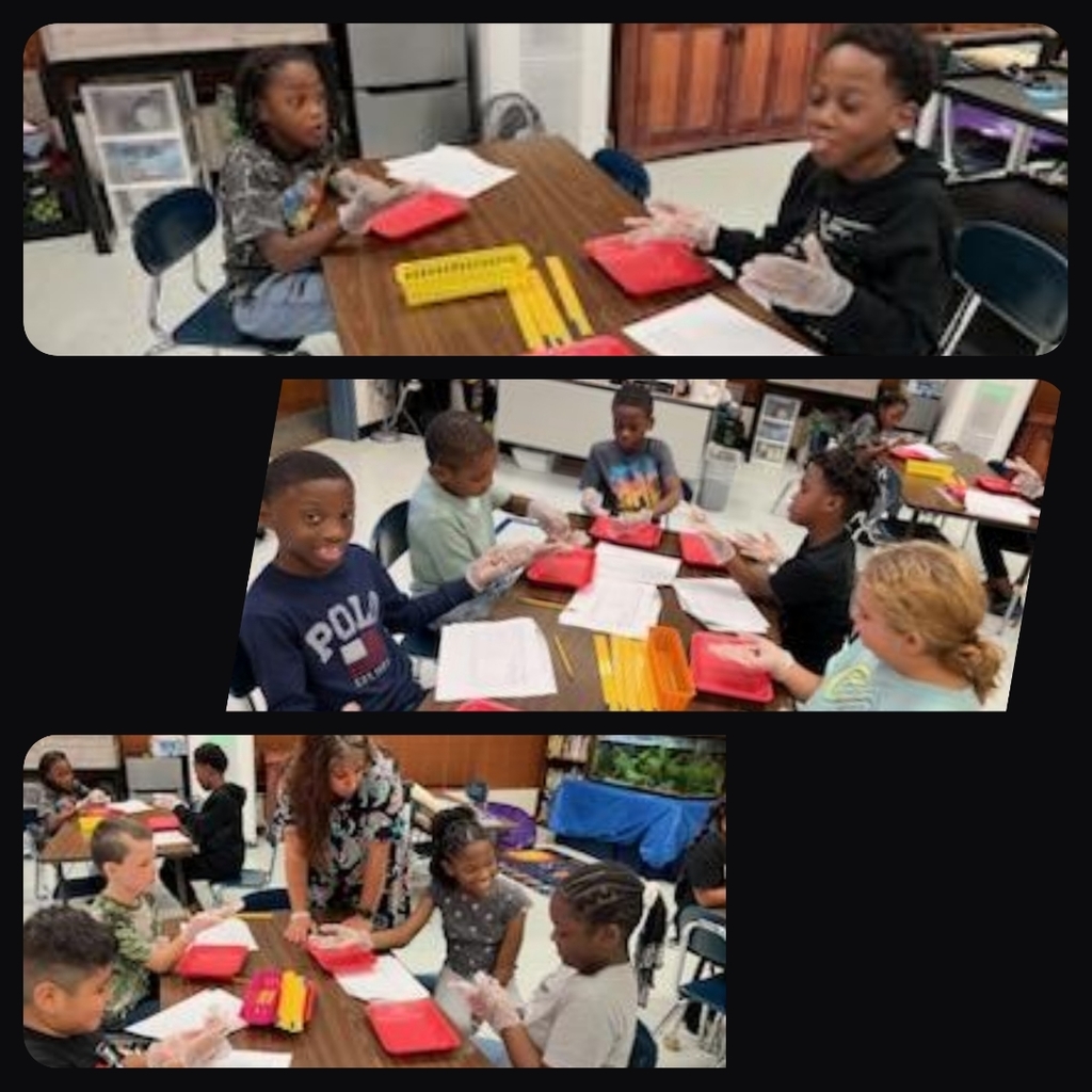 Live Feed Cowan Road Elementary School